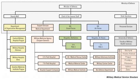 Establish a Clear Chain of Command