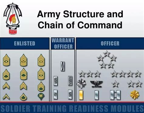 A diagram illustrating the five levels of the chain of command