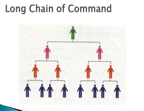 Chain of Command Hierarchy