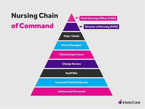 Chain of Command in Healthcare