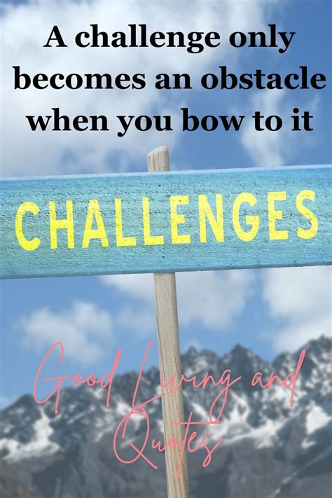 Challenges and Setbacks