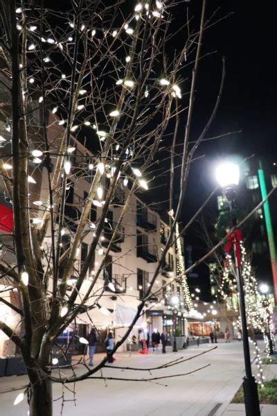 Chattanooga Christmas tree