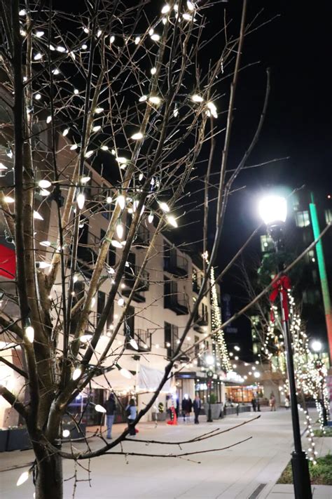 Holiday lights in Chattanooga