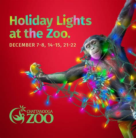 Chattanooga Zoo's Holiday Lights