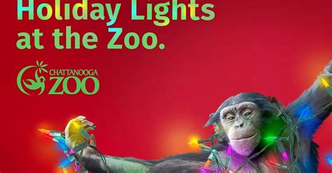 Chattanooga zoo lights display