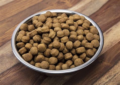 Cheap Dog Food