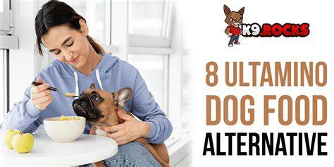 Cheap Dog Food Alternatives