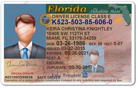 Check Driver's License Status Florida Online