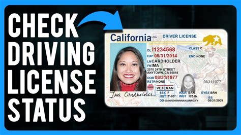 Check Driver's License Status Online