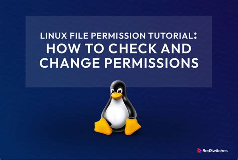 Check File Permissions