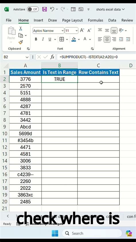 Checking Text in Excel Column Quickly