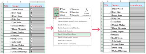 Checkboxes in Excel for Mac Dashboard