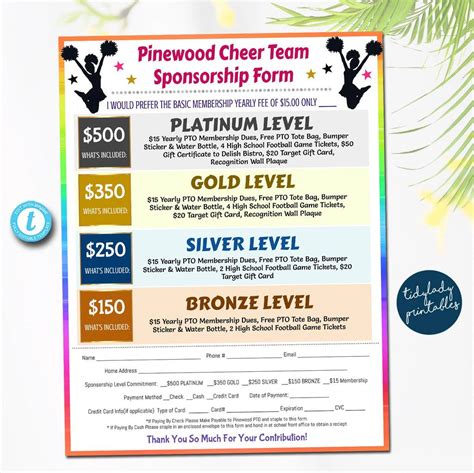 Cheer Team Sponsorship Ideas