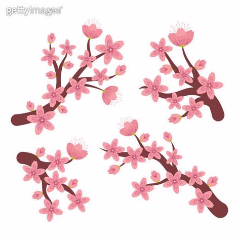 Cherry Blossom Branch Template