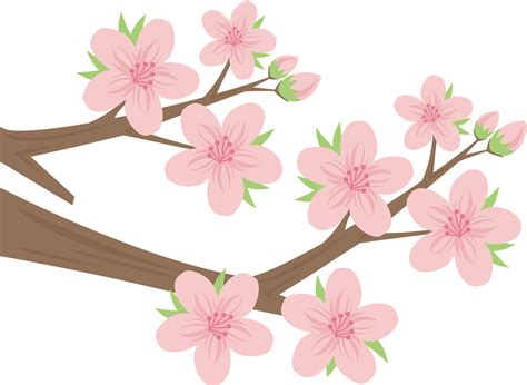 Cherry Blossom Clip Art