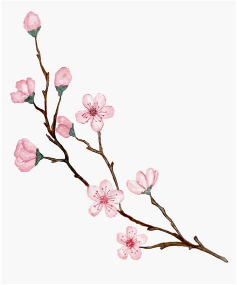 Cherry Blossom Design