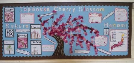 Cherry Blossom Education