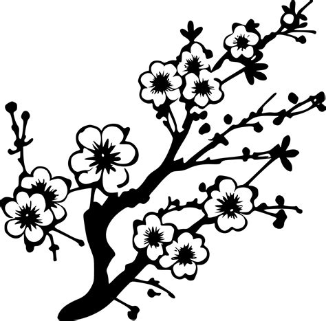 Cherry Blossom Silhouette Image