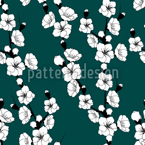 Cherry Blossom Vector