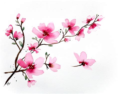 Cherry Blossom Watercolor Image