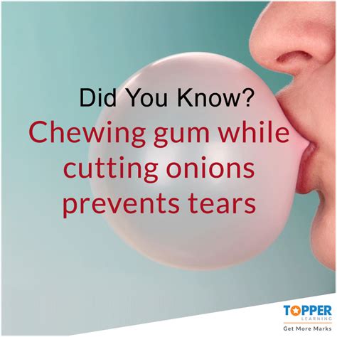 Chewing Gum Facts