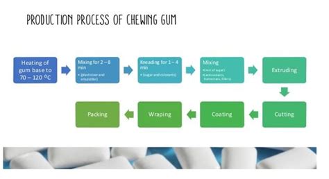 Chewing Gum Manufacturing Process