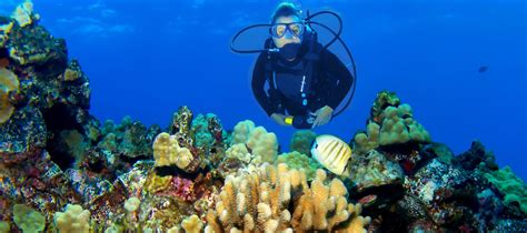 China's new Hawaii snorkeling and diving