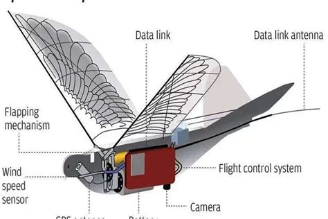 Chinese Bird Drones Applications