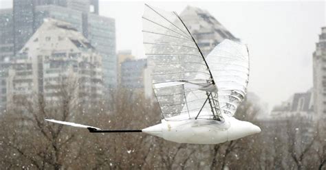 Chinese Bird Drones Design