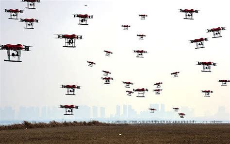 Chinese Bird Drones Swarm