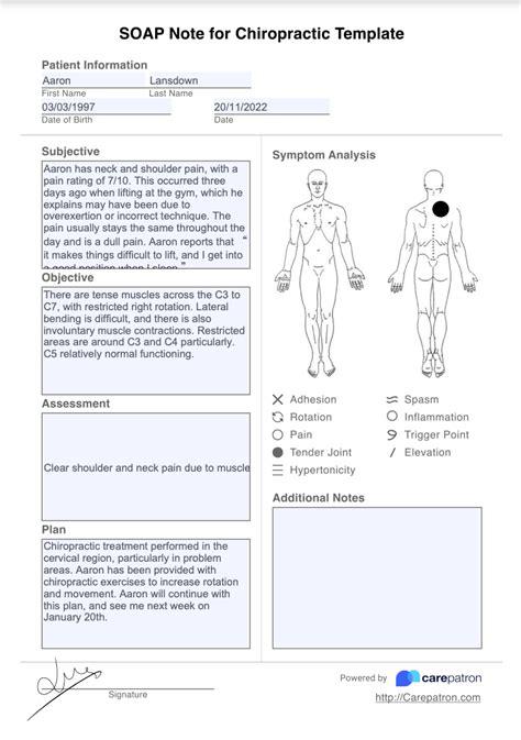 Chiropractic Soap Notes Template Examples