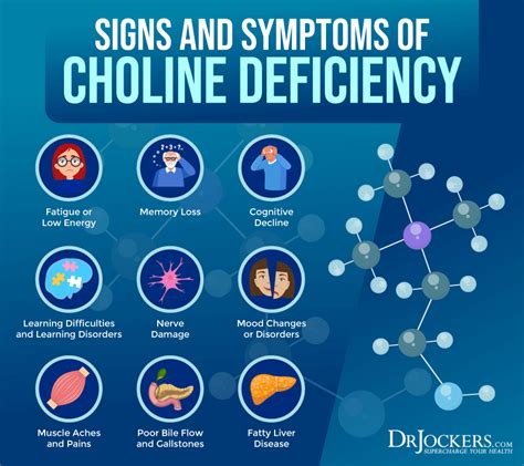 Choline benefits