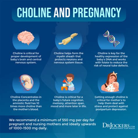 Choline benefits for pregnancy