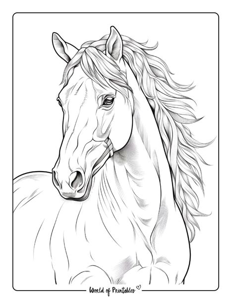 How to choose the right horse coloring book