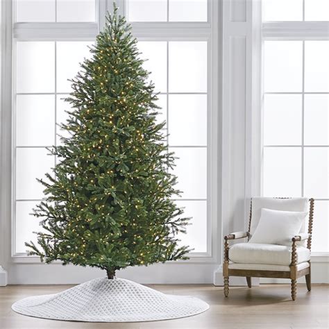 Choosing the Perfect Tree on a Budget