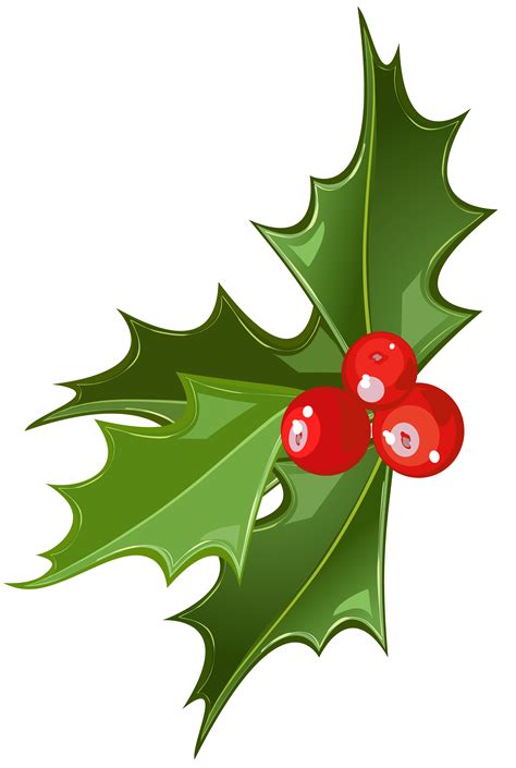 A festive illustration of mistletoe