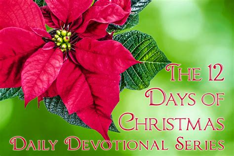 Christmas Devotional Reflections