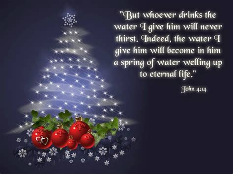 Christmas Eternal Life Image