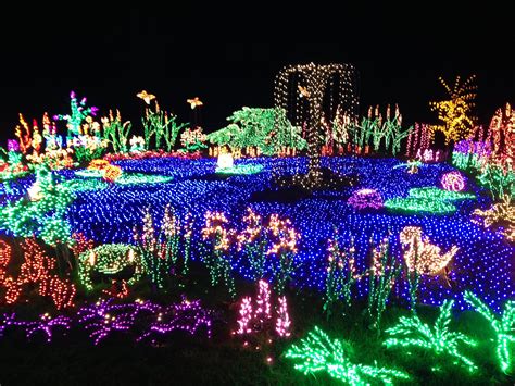 Christmas Lights at Olbrich Botanical Gardens