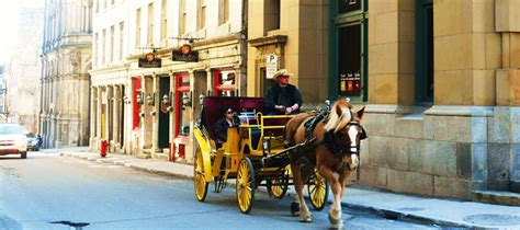 Horse-Drawn Carriage Ride at Montreal Christmas Market