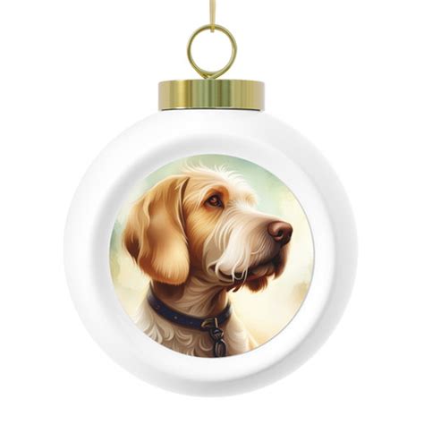 Christmas Ornament Ideas