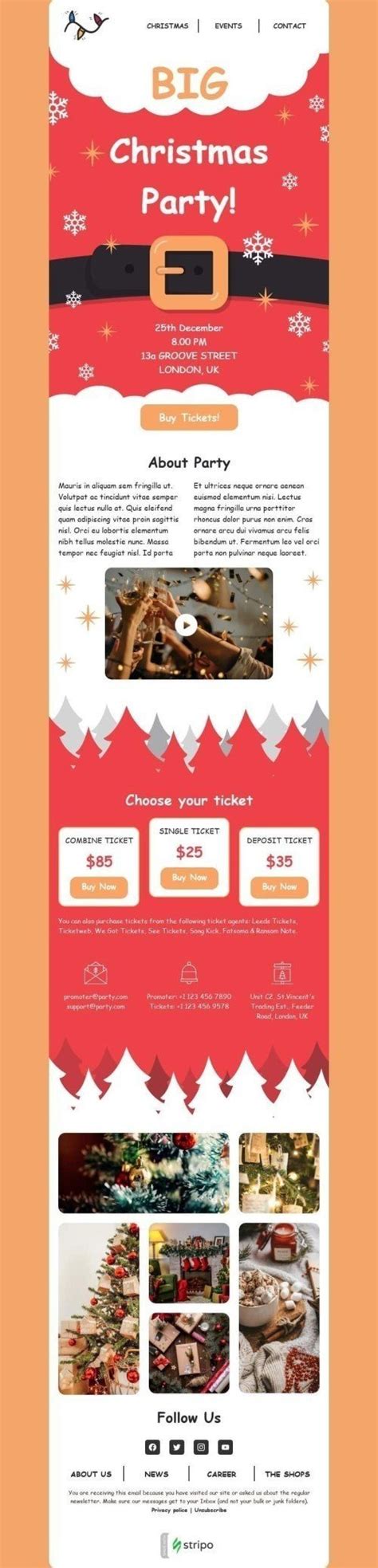 Christmas Party Email Template Designs