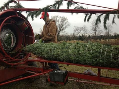 Maintaining a Christmas tree baler