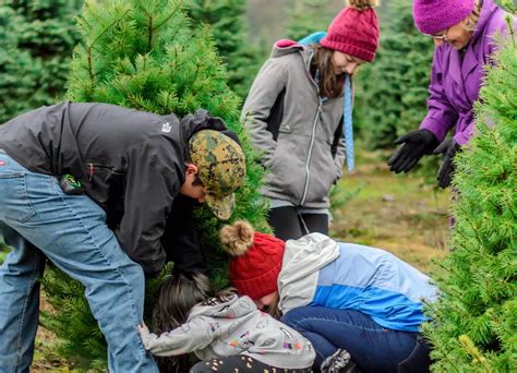 Christmas Tree Farm Choices