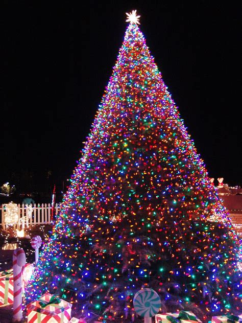 Christmas tree lights in a crisscross pattern with ribbon