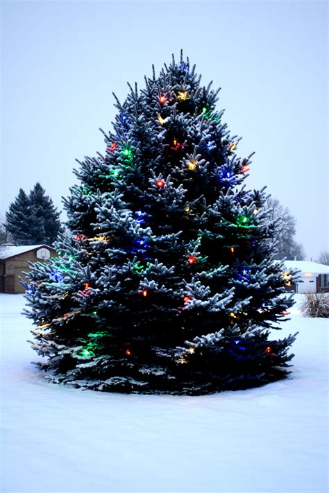 Family around Christmas tree