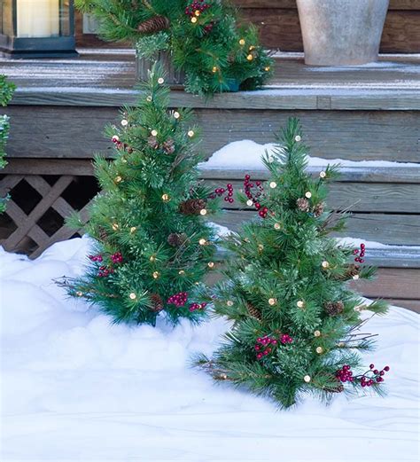 Using Christmas trees as garden pathways