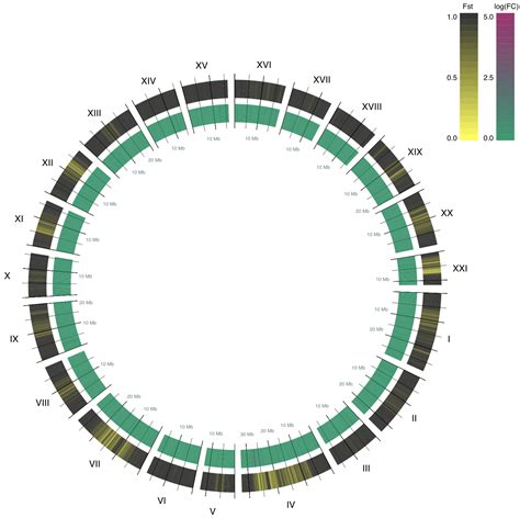 Customizing the Radial Chart