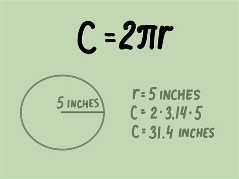 Calculating the Circumference of a Circle