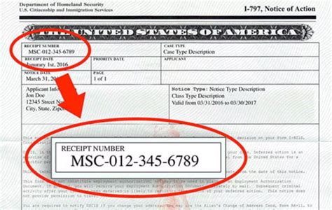 Citizenship or Immigration Status for Food Stamps